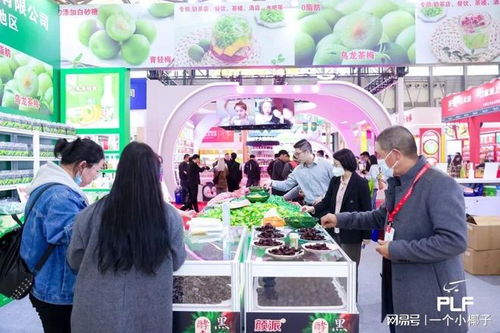 2025年上海國際自有品牌產品展(PLF) 日用百貨新風尚與新機遇